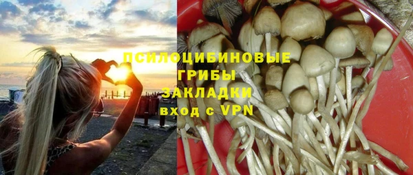 mdpv Армянск