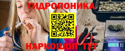 амф Сосновоборск