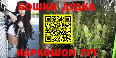 a pvp Кингисепп