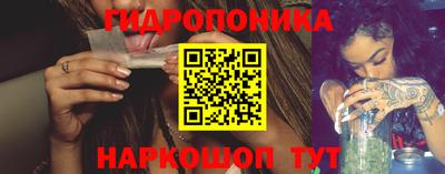 сатива Кимры