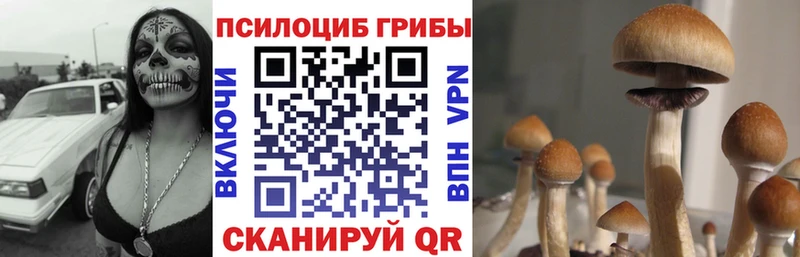 Псилоцибиновые грибы MAGIC MUSHROOMS  Лабинск 