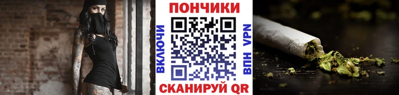 Конопля Bruce Banner продажа наркотиков Лабинск